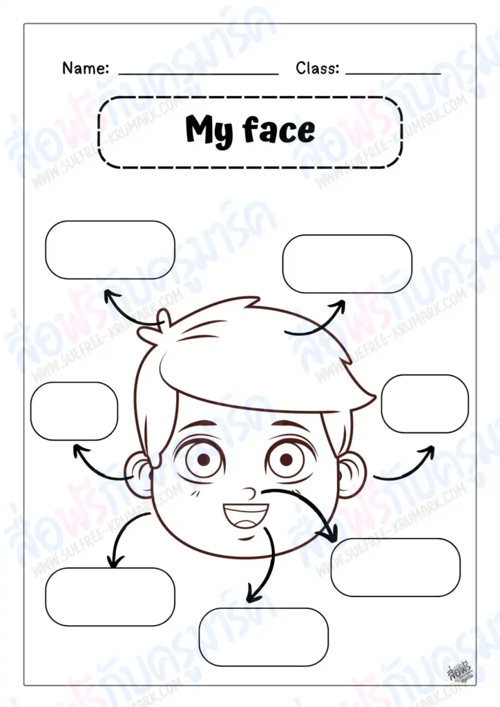 ใบงานภาษาอังกฤษ My face –  อิงหนังสื่อ Smile ป.1 แบบ Active Learning
