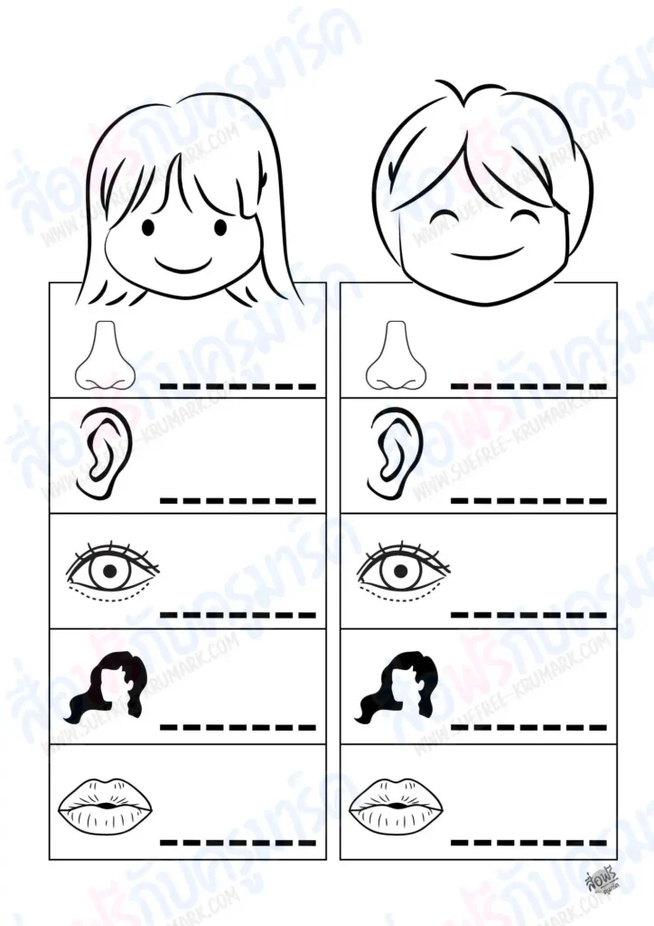 ใบงานภาษาอังกฤษ My face –  อิงหนังสื่อ Smile ป.1 แบบ Active Learning