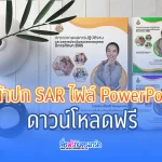 หน้าปกเล่ม SAR สวย ๆ แก้ไขได้ ไฟล์ Power Point ชุดที่ 2 2567