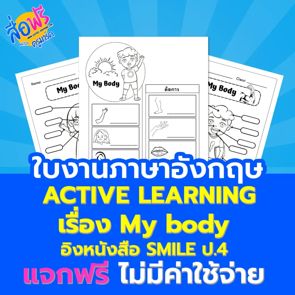 ใบงานภาษาอังกฤษ My body