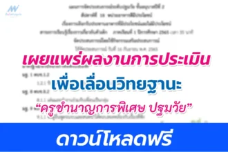 ครูชำนาญการพิเศษ ปฐมวัย ผลงานการประเมินเพื่อเลื่อนวิทยฐานะ: ว21 ว9 วPA