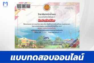 เกียรติบัตรออนไลน์ ทำข้อสอบ coding เรื่องการเขียนโปรแกรมเบื้องต้น 2567