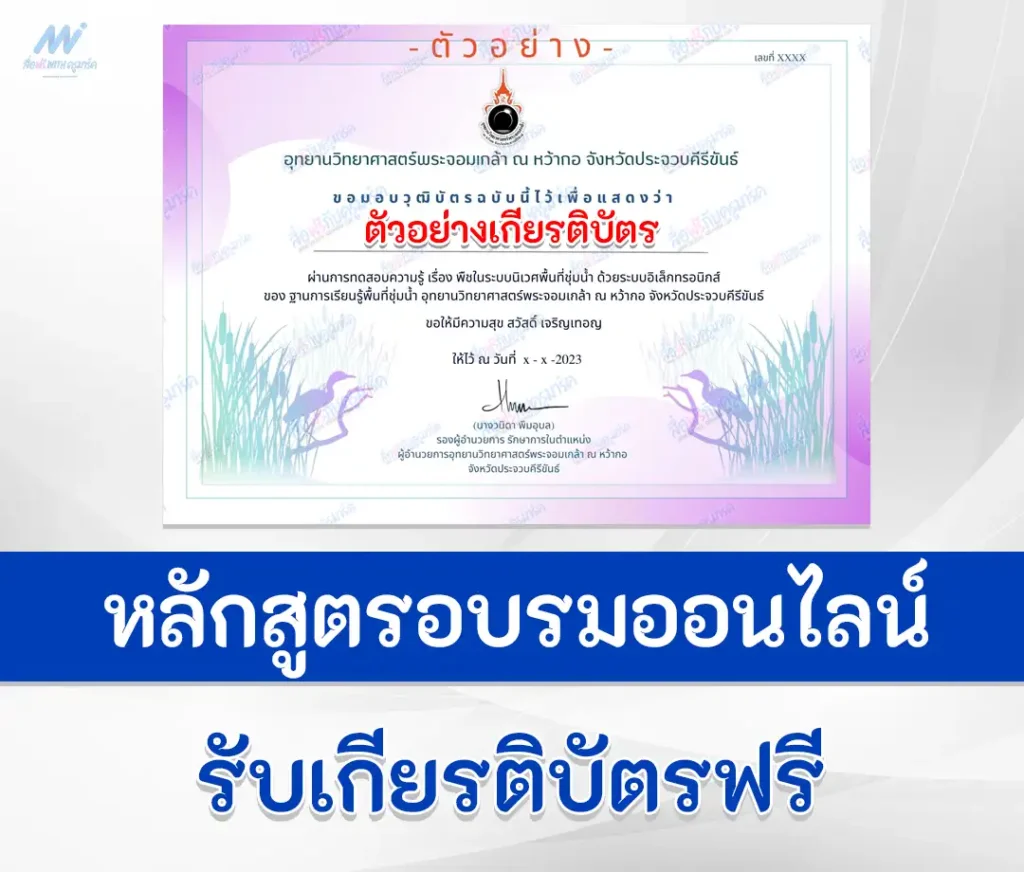 ทำข้อสอบวัดระดับความรู้ พืชในระบบนิเวศพื้นที่ชุ่มน้ำ