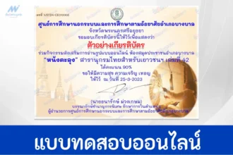 ทำข้อสอบวัดระดับความรู้ หนังตะลุง