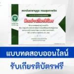 หลักสูตรการดูแลเด็กบกพร่องทางพัฒนาการและสติปัญญา