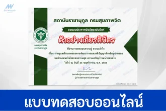 หลักสูตรการดูแลเด็กบกพร่องทางพัฒนาการและสติปัญญา