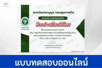 หลักสูตรการดูแลเด็กบกพร่องทางพัฒนาการและสติปัญญา