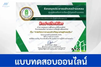 ทำข้อสอบวัดความรู้ หลักปรัชญาเศรษฐกิจพอเพียง