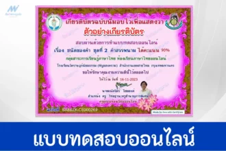 ทำข้อสอบวัดระดับความรู้ ภาษาไทย เรื่อง คำสรรพนาม