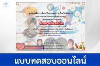 ทำแบบทดสอบวัดระดับความรู้ การส่งเสริมการดูแลสุขภาวะ และสุขอนามัยของประชาชนในชุมชน