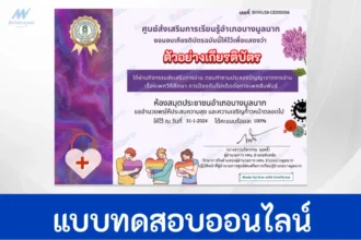 ทำข้อสอบวัดระดับความรู้ เพศวิถีศึกษา การป้องกันโรคติดต่อทางเพศสัมพันธ์