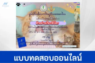 ทำข้อสอบวัดระดับความรู้ เรื่องแมว