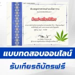 ทำข้อสอบวัดระดับความรู้ กัญชงและกัญชา
