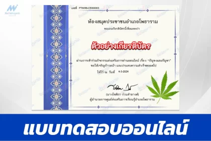 ทำข้อสอบวัดระดับความรู้ กัญชงและกัญชา
