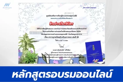 ทำข้อสอบวัดระดับความรู้ กัญชงกัญชา