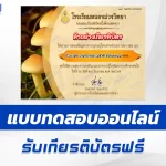 ทำข้อสอบวัดระดับความรู้ เรื่อง เห็ด
