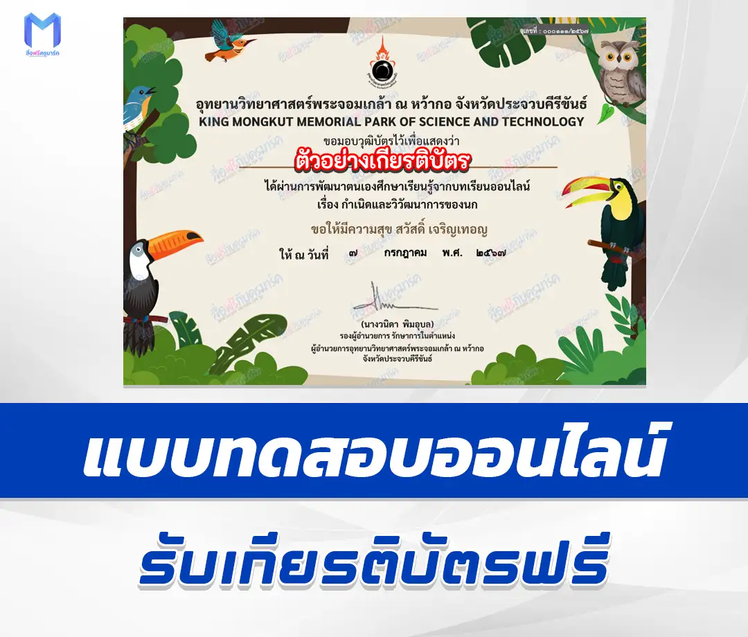 เกียรติบัตรออนไลน์ ทำข้อสอบวัดระดับความรู้ การกำเนิดและวิวัฒนาการของนก 1 เกียรติบัตรออนไลน์ ทำข้อสอบวัดระดับความรู้ การกำเนิดและวิวัฒนาการของนก 2567