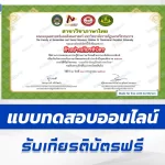 ทำข้อสอบวัดระดับความรู้ กิจกรรมวันภาษาไทยแห่งชาติ 2567