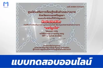 เกียรติบัตรออนไลน์ ทําข้อสอบวัดระดับความรู้ แชร์ลูกโซ่ 2567