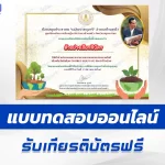 เกียรติบัตรออนไลน์ ทำข้อสอบวัดความรู้ วันดินโลก 2567