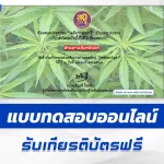 เกียรติบัตรออนไลน์ ทำข้อสอบวัดระดับความรู้ โทษของกัญชา 2567