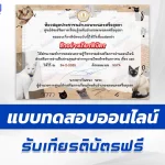 เกียรติบัตรออนไลน์ ทำข้อสอบวัดระดับความรู้ เรื่องแมว 2567