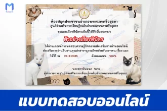 เกียรติบัตรออนไลน์ ทำข้อสอบวัดระดับความรู้ เรื่องแมว 2567